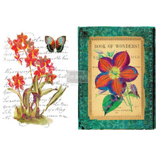 Cargar imagen en el visor de la galería, Transfer RE DESIGN WITH PRIMA - WONDROUS FLORA