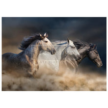 Cargar imagen en el visor de la galería, Papel Decoupage Re Design With Prima - WILD HEARTS RUN FREE