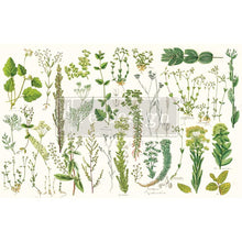 Cargar imagen en el visor de la galería, Papel Decoupage Re Design With Prima - GREENERY