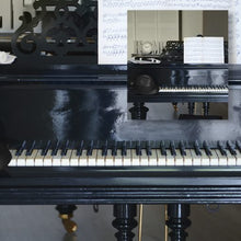 Cargar imagen en el visor de la galería, Barniz Negro Imperio Lakeone