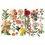 Cargar imagen en el visor de la galería, Papel Decoupage Re Design With Prima - FOREST GARDEN