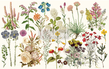 Cargar imagen en el visor de la galería, Papel Decoupage Re Design With Prima - WILD HERBS