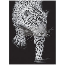 Cargar imagen en el visor de la galería, Papel Decoupage Re Design With Prima - FELINE GAZE

