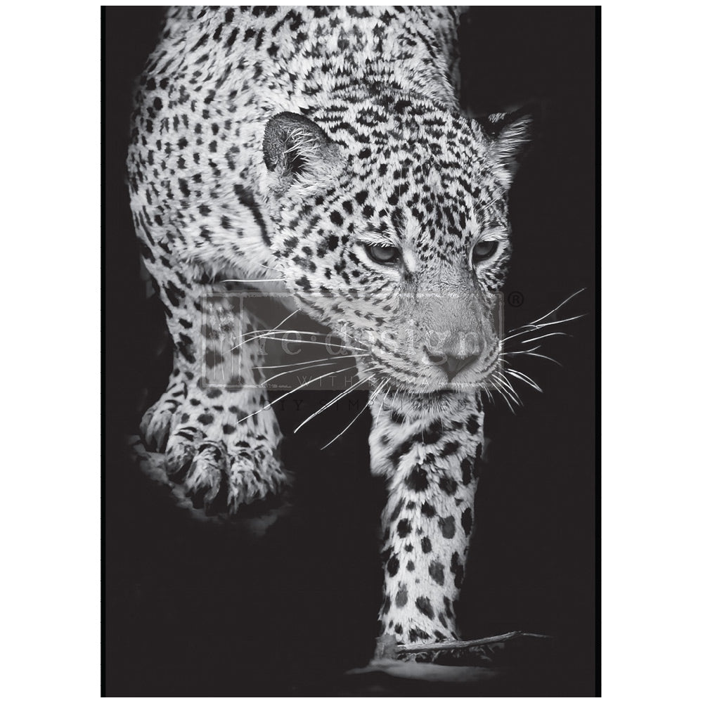 Papel Decoupage Re Design With Prima - FELINE GAZE