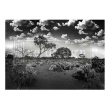 Cargar imagen en el visor de la galería, Papel Decoupage Re Design With Prima - SERENE WILDERNESS
