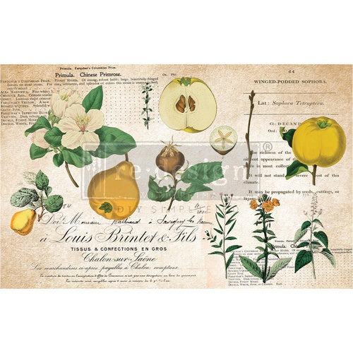 Papel Decoupage Re Design With Prima - PRIMROSE