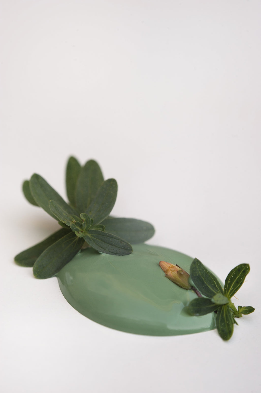 Pintura Chalk Paint GRACEFUL GREEN