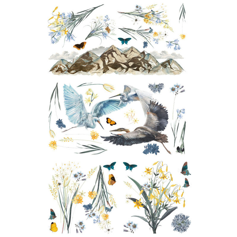 Hokus Pokus - A Birds View