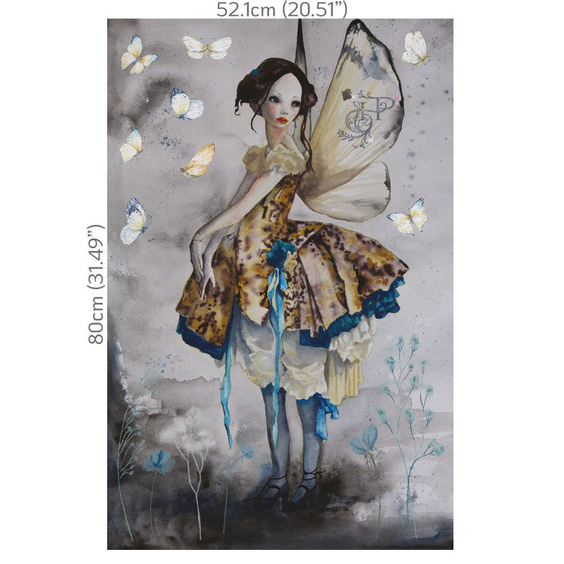 Hokus Pokus - Fairy Dreams