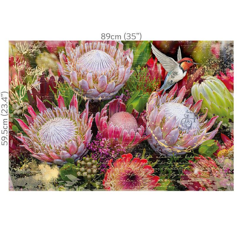 Hokus Pokus - Fynbos