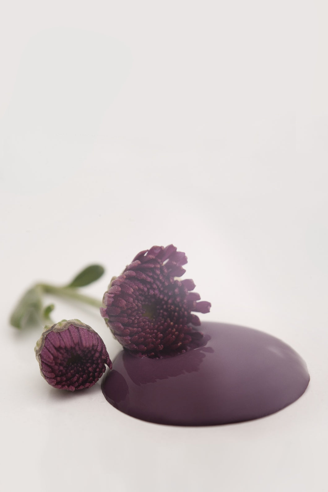 Pintura Chalk Paint POSH PLUM