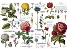 Cargar imagen en el visor de la galería, Decor Tranfer RE DESIGN WITH PRIMA - VINTAGE BOTANICAL
