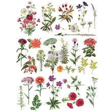 Cargar imagen en el visor de la galería, Decor Tranfer RE DESIGN WITH PRIMA - FLORAL COLLECTION
