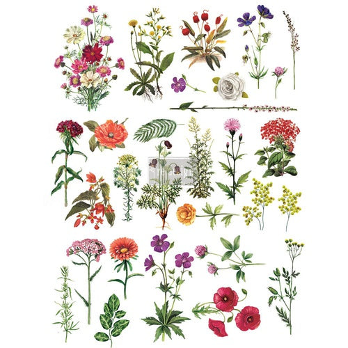 Decor Tranfer RE DESIGN WITH PRIMA - FLORAL COLLECTION