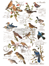 Cargar imagen en el visor de la galería, Decor Tranfer RE DESIGN WITH PRIMA - POSTAL BIRDS
