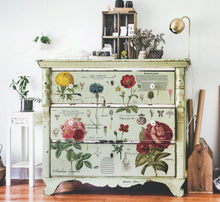 Cargar imagen en el visor de la galería, Decor Tranfer RE DESIGN WITH PRIMA - VINTAGE BOTANICAL
