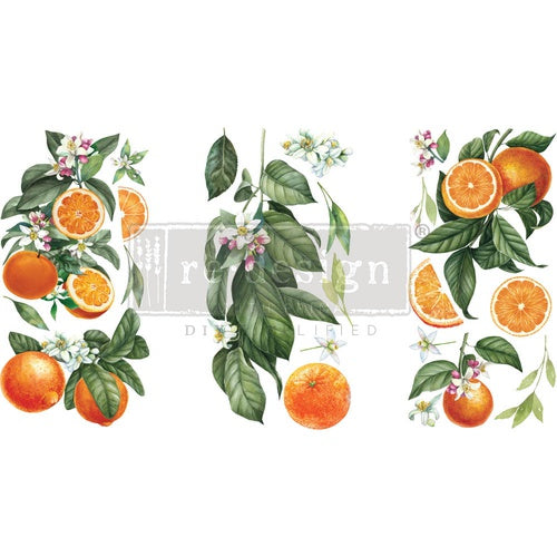 Decor Transfer RE DESIGN WITH PRIMA - Citrus Slice