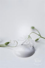 Cargar imagen en el visor de la galería, Pintura Chalk Paint NATURAL WHITE
